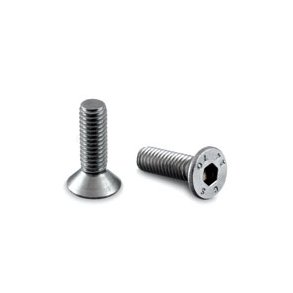 Fladhovedet skrue undersnket<br>til glasklemme AISI 316